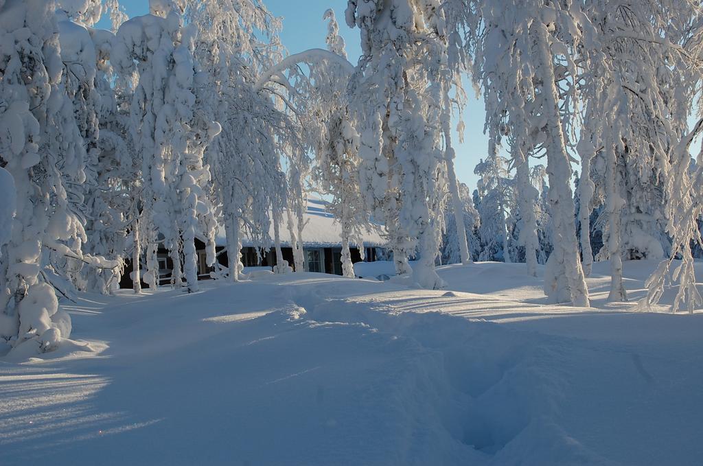Rukanelioe Cottage Exterior photo